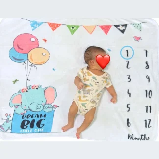 Milestone Blanket